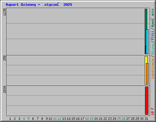 Raport Dzienny -  styczeń 2025