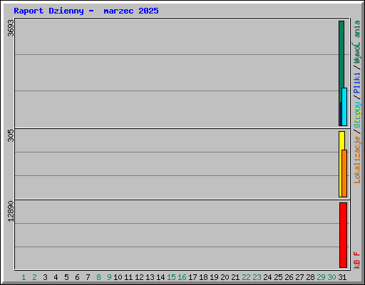 Raport Dzienny -  marzec 2025