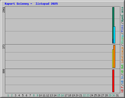 Raport Dzienny -  listopad 2025