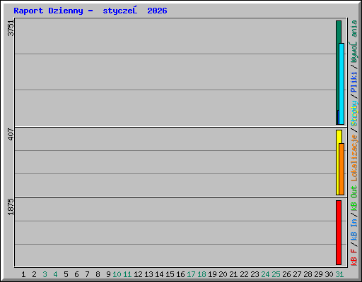 Raport Dzienny -  styczeń 2026