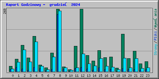 Raport Godzinowy -  grudzień 2024