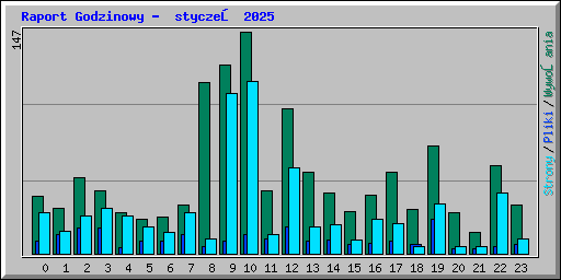Raport Godzinowy -  styczeń 2025