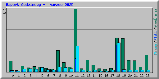Raport Godzinowy -  marzec 2025