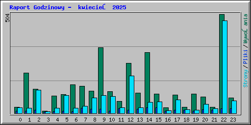 Raport Godzinowy -  kwiecień 2025