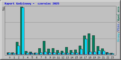 Raport Godzinowy -  czerwiec 2025