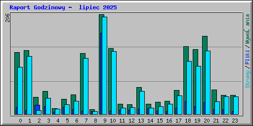 Raport Godzinowy -  lipiec 2025