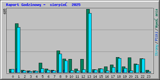 Raport Godzinowy -  sierpień 2025
