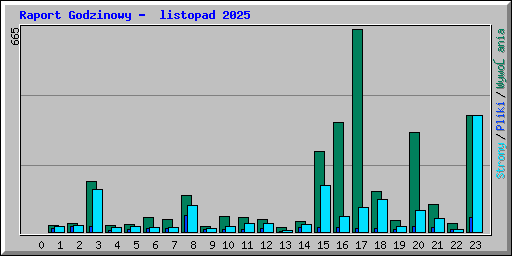 Raport Godzinowy -  listopad 2025