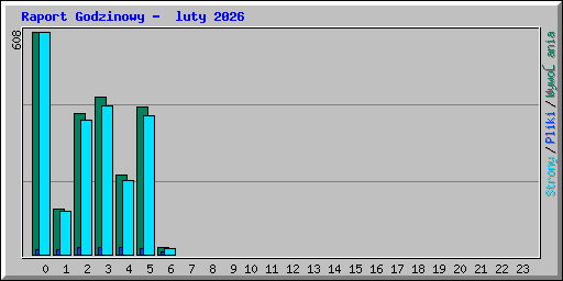 Raport Godzinowy -  luty 2026