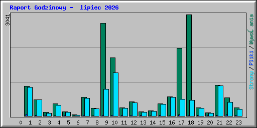 Raport Godzinowy -  lipiec 2026